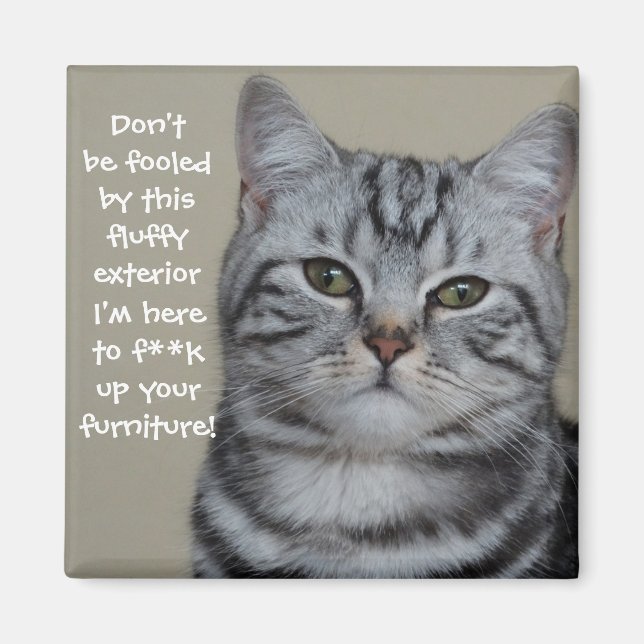 Badass Cats Magnet (Vorne)