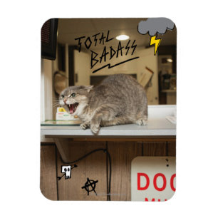 Badass-Katze insgesamt Magnet