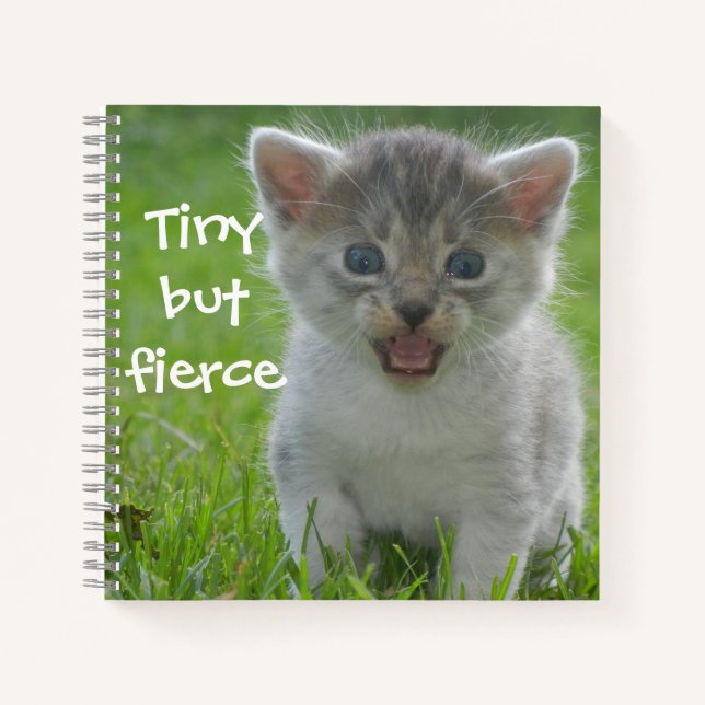 Badass-Katzen - "Klein aber feurig" Kätzchen Notizbuch (Vorderseite)