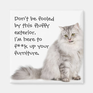 Badass Katzen Magnet