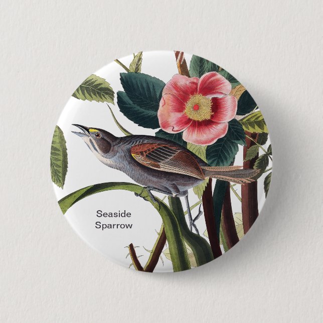 Badebucht, Audubon Birdwatcher Seebadefinale Button (Vorderseite)