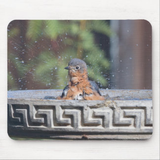 Bademeister Mousepad