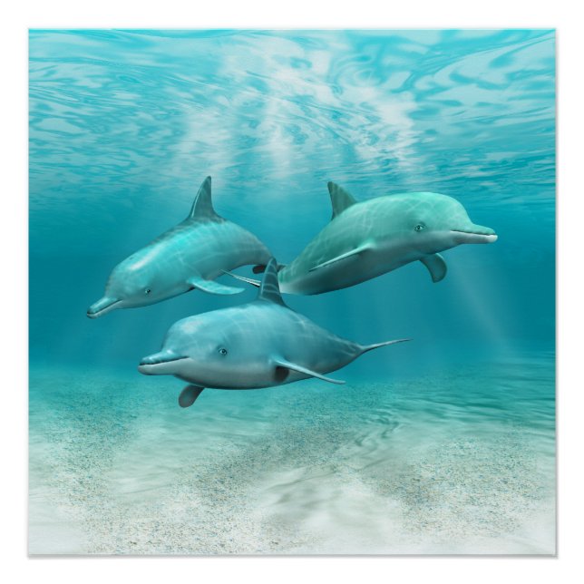 Baden-Delphine Poster (Vorderseite)