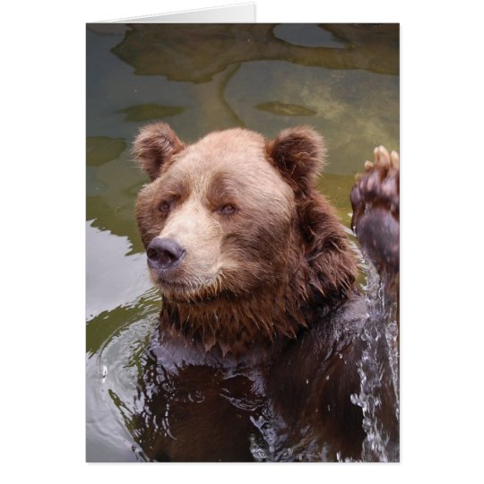 Baden der Braunbär-Anmerkungs-Karte Karte