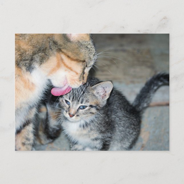 Badenzeit Postkarte (Vorderseite)