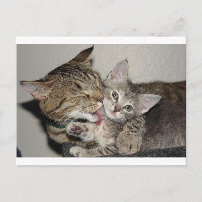 Badenzeit Postkarte (Vorderseite)