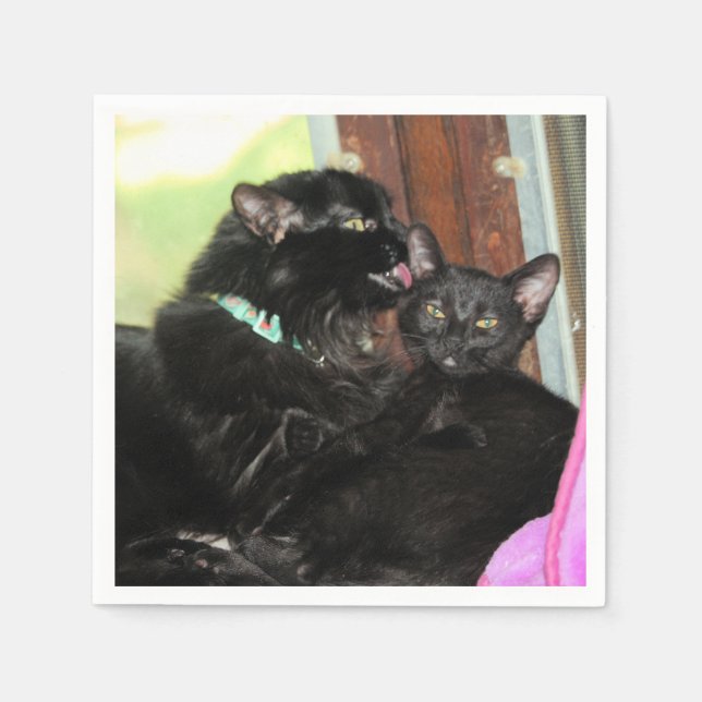 Badenzeit Serviette (Vorderseite)