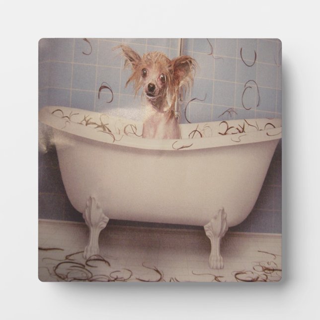 BADEPUPPY FOTOPLATTE (Vorderseite)