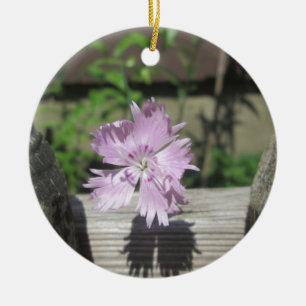 Bäder Pink Dianthus auf Zaun Keramikornament