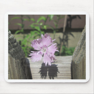 Bäder Pink Dianthus auf Zaun Mousepad
