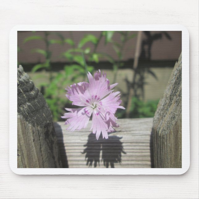 Bäder Pink Dianthus auf Zaun Mousepad (Vorne)
