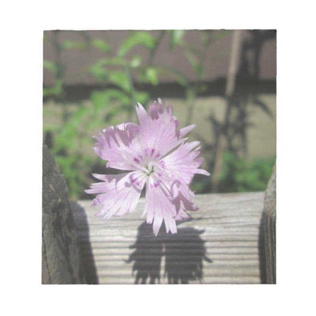 Bäder Pink Dianthus auf Zaun Notizblock (Vorderseite)