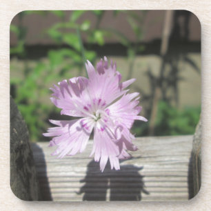 Bäder Pink Dianthus auf Zaun Untersetzer