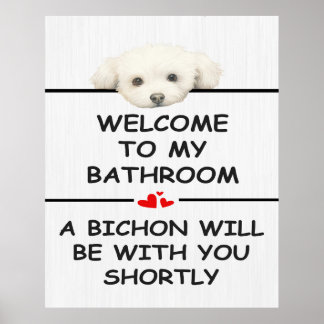 Badezimmer Bichon Frise Poster