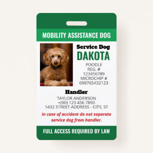 BADGE 