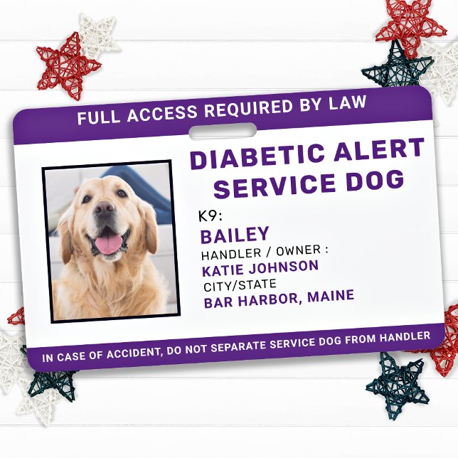 Badge Alerte diabétique Service personnalisé Chien de se (Créateur téléchargé)
