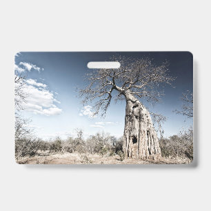 Badge Arbre Baobab au parc national de Mana Pools, Zimba