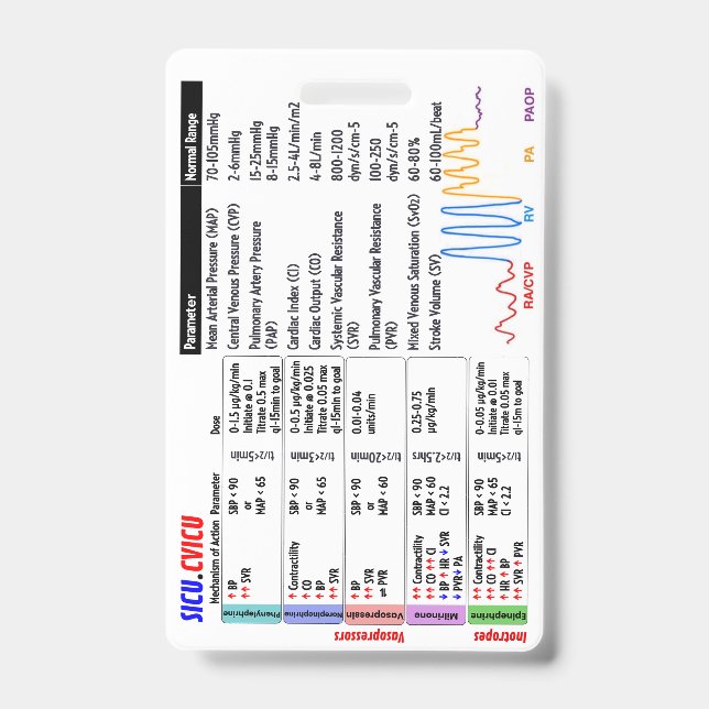 Badge Ausweis (Front)