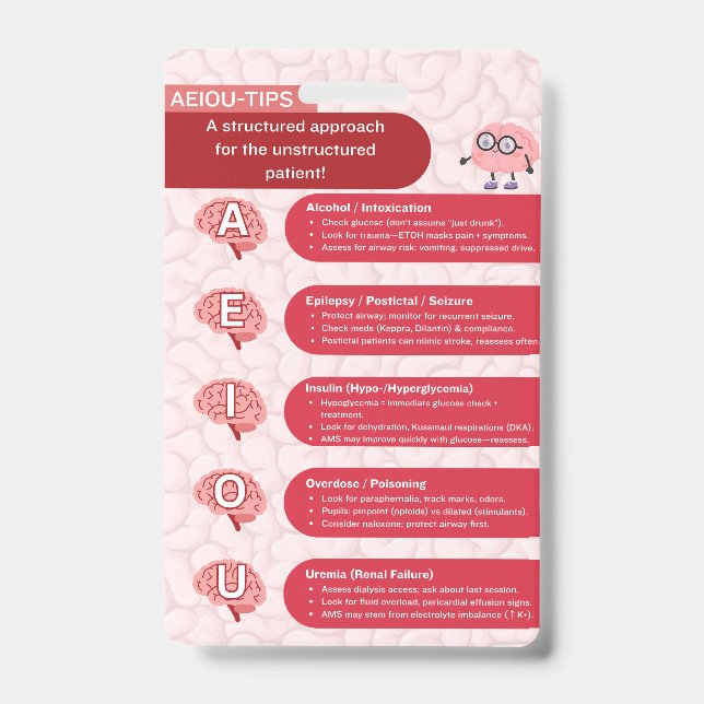 Badge Ausweis (Vorderseite)