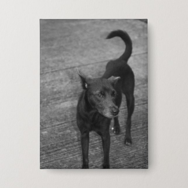 Badge B&W - Aspin (Recto)