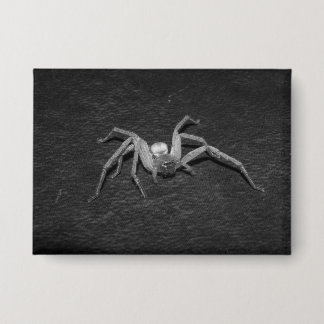 Badge B&W_Huntsman Spider