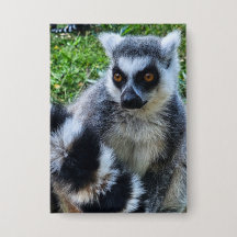 Button avec Ringstaartmaki - Imprimante animale un