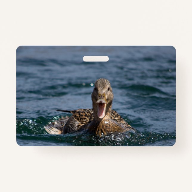 Badge Canard avec bec ouvert (Devant)