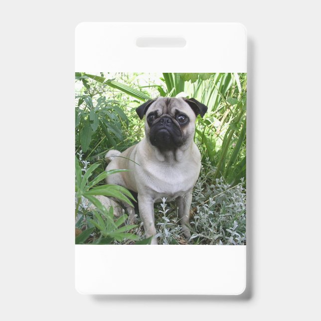 Badge carlin assis (Avant)