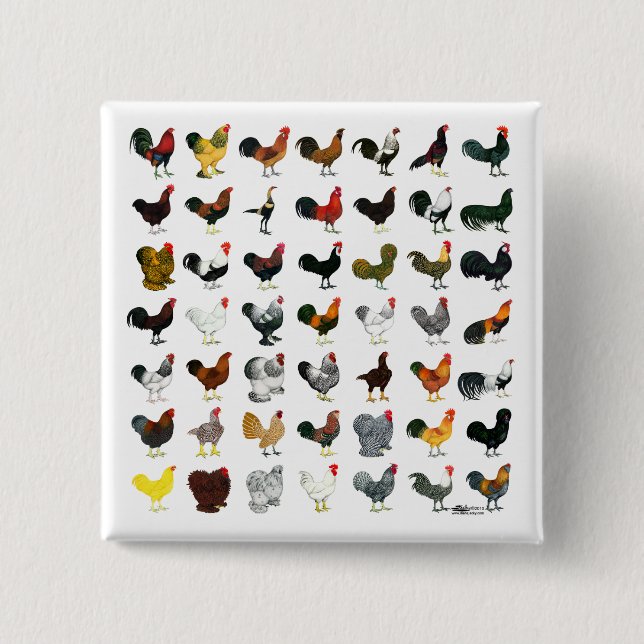 Badge Carré 5 Cm 49 Coq (Devant)