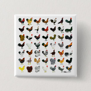 Badge Carré 5 Cm 49 Coq