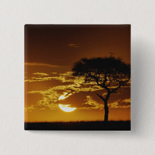 Badge Carré 5 Cm Acacia tortilis, Acacia à épines en ombrelle,