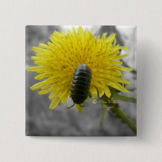 Badge Carré 5 Cm Admirablement effrayant : Fleur de Rolie Polie (Devant)