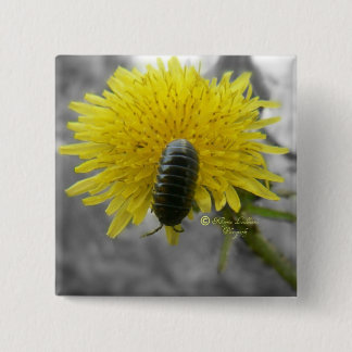 Badge Carré 5 Cm Admirablement effrayant : Fleur de Rolie Polie