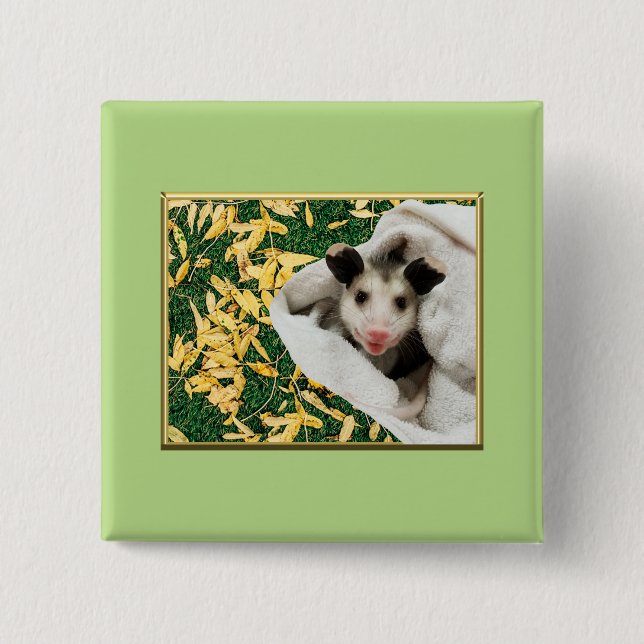 Badge Carré 5 Cm Adorable bébé doux Opossum (Devant)