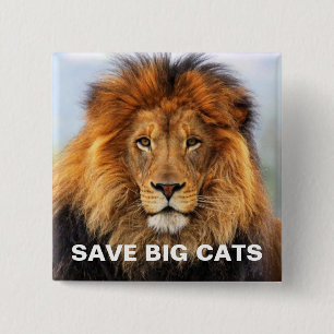 Badge Carré 5 Cm African Lion 1