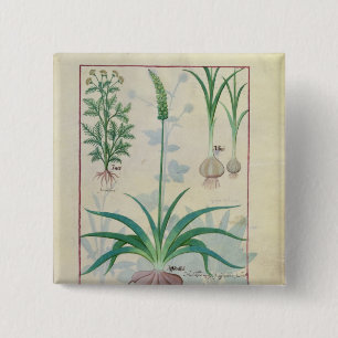Badge Carré 5 Cm Ail et d'autres plantes