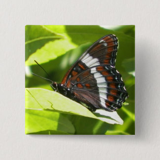 Badge Carré 5 Cm Amiral blanc papillon