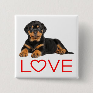 Badge Carré 5 Cm Amoureux des chiens Dessin animé Rottweiler d'amou