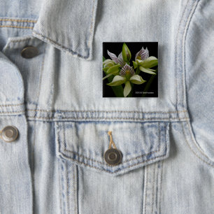 Badge Carré 5 Cm Anacheilium Chacoense