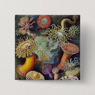 Badge Carré 5 Cm Anémone de mer Nature scientifique Océan