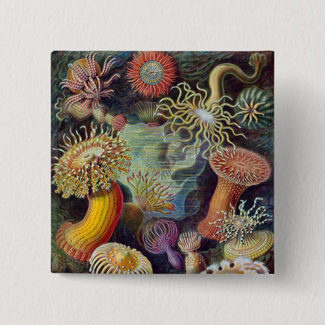 Badge Carré 5 Cm Anémone de mer Nature scientifique Océan (Devant)