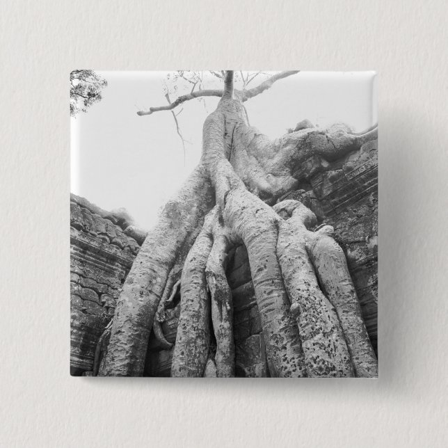 Badge Carré 5 Cm Angkor Cambodia, Tree Ta Prohm (Devant)