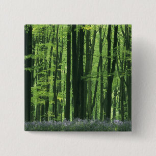 Badge Carré 5 Cm Angleterre, forêt de hêtres et jacinthes des bois
