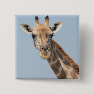 Badge Carré 5 Cm Angolan Giraffe Portrait