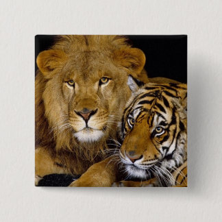 Badge Carré 5 Cm Animal