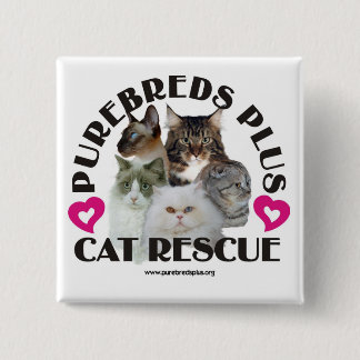 Badge Carré 5 Cm Animal de race plus le bouton de délivrance de