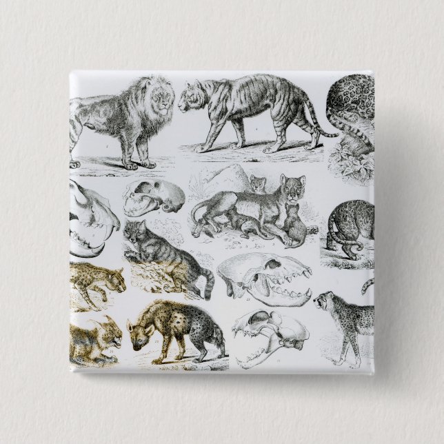 Badge Carré 5 Cm Animaux carnivores (Devant)