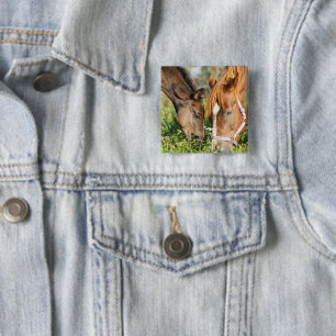 Badge Carré 5 Cm Animaux de bébés cutest Colt à cheval