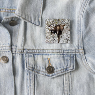 Badge Carré 5 Cm Animaux de bébés cutest   Moose Calf