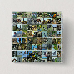Badge Carré 5 Cm animaux du monde